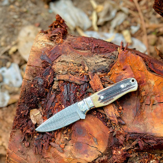 Handmade stainless steel Damascus hunting skinner knife with stag horn
